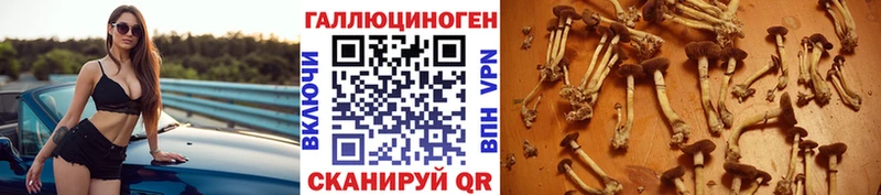 Псилоцибиновые грибы ЛСД  Назрань 