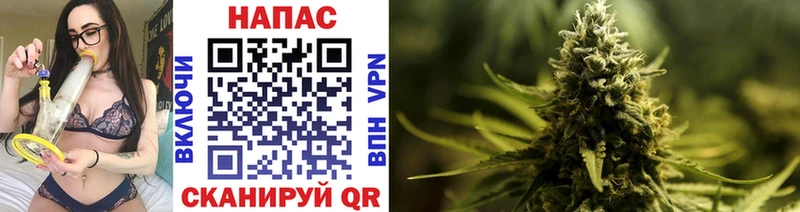 Бошки марихуана Ganja  Назрань 